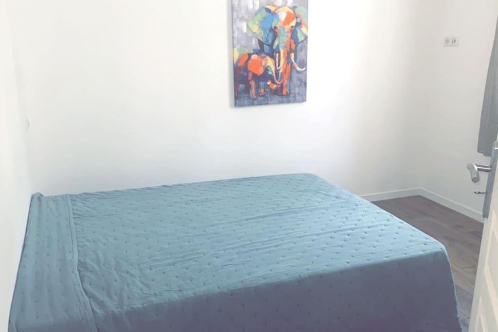 Appartement T2 Chez Thomas Et Nas Omessa Exteriér fotografie