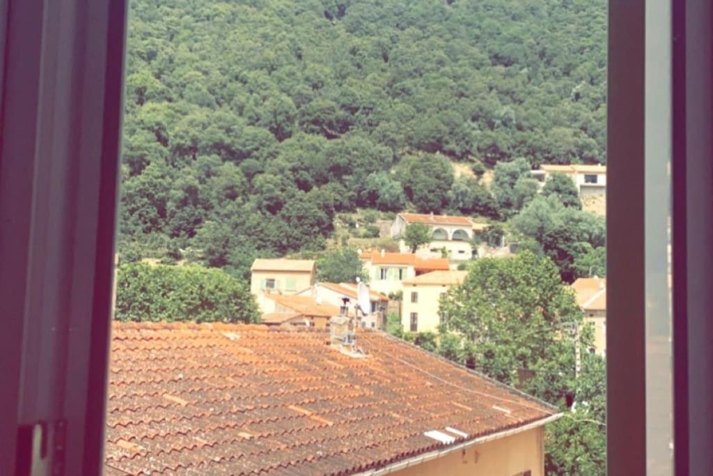 Appartement T2 Chez Thomas Et Nas Omessa Exteriér fotografie